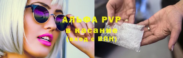 стафф Алексин