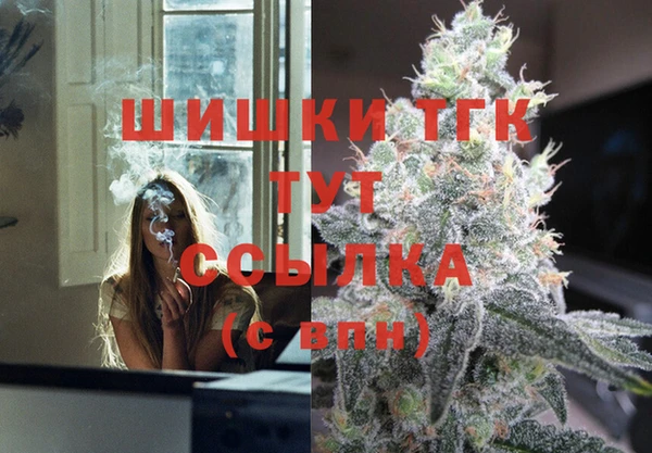 стафф Алексин