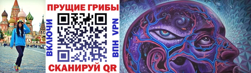 omg ТОР  сколько стоит  Южно-Сухокумск  Псилоцибиновые грибы MAGIC MUSHROOMS 